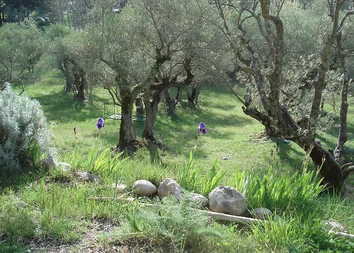 B&B 라 클로린드 3*